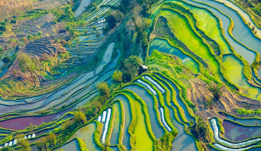 走进临沂TVC拍摄：解锁本地化场景与创意镜头的完美融合